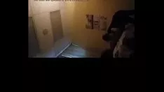 Reproducir Señor dee amasar 7