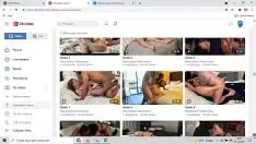 Abspielen Veröffentlichung von nicht-professionellen Pornoregistern