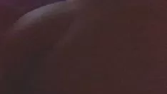 Redare De perrito con la enigmaaria