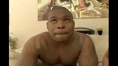 Jouer Amare