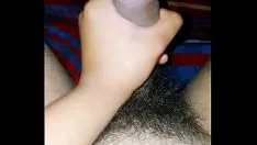تشغيل ساشي