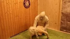 Reproducir sexo muñequita catalina powerina y sexo muñequita marsalina powerina alternativa recibiendo follada por powerino