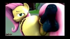 My soft trot orifice digest