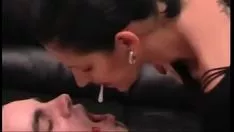 تشغيل أوراق الشجر 2